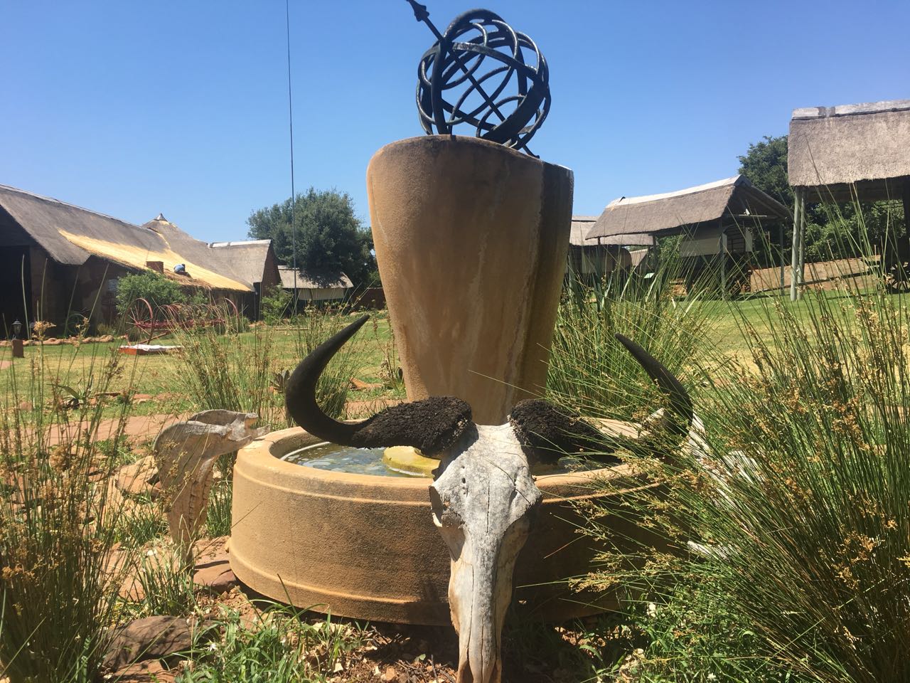 full day tour JHB nature walk_5