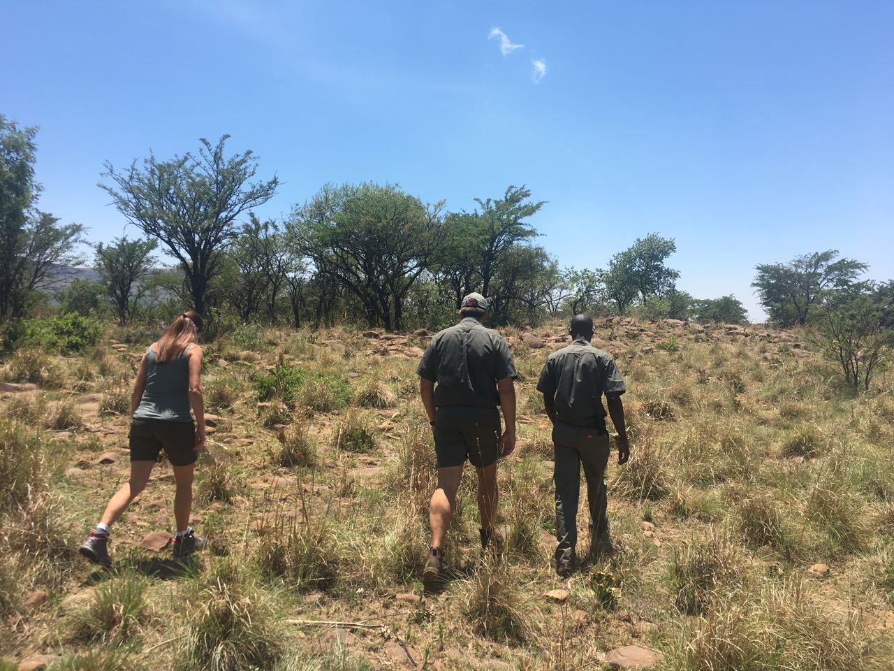 full day tour JHB nature walk_8