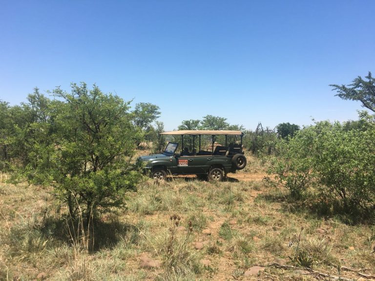 full day tour JHB nature walk_10