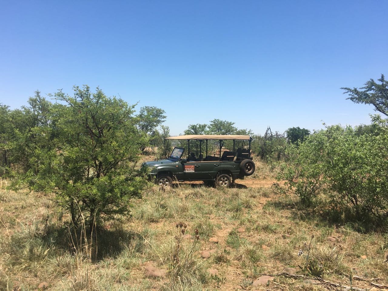 full day tour JHB nature walk_10