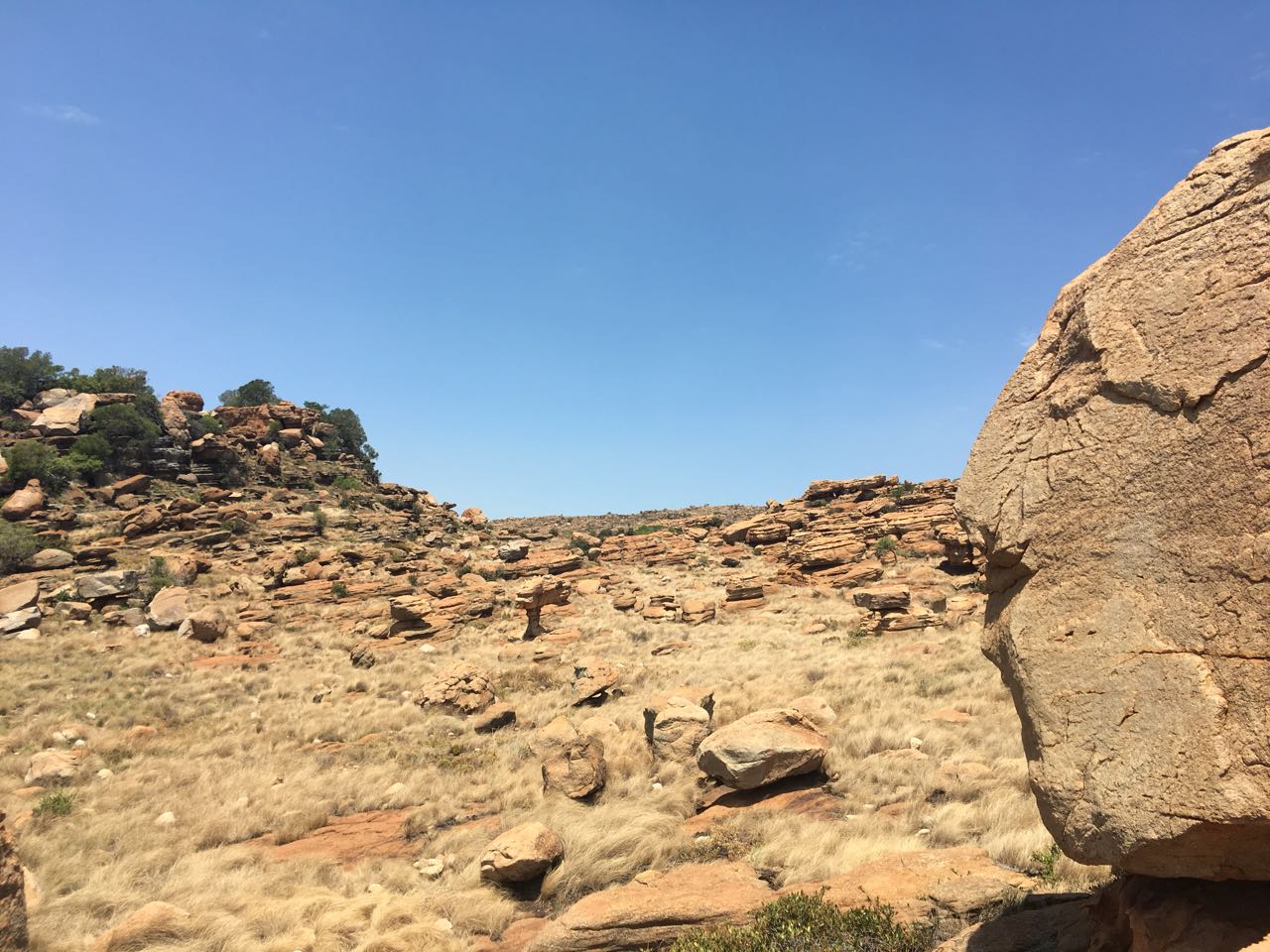 Full Day Magaliesberg Nature Hike and Elephant Interaction - Image 11