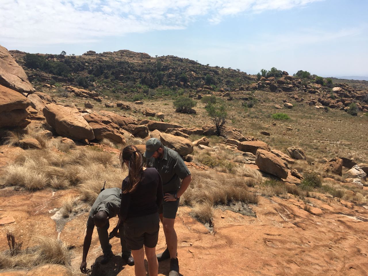 full day tour JHB nature walk_4