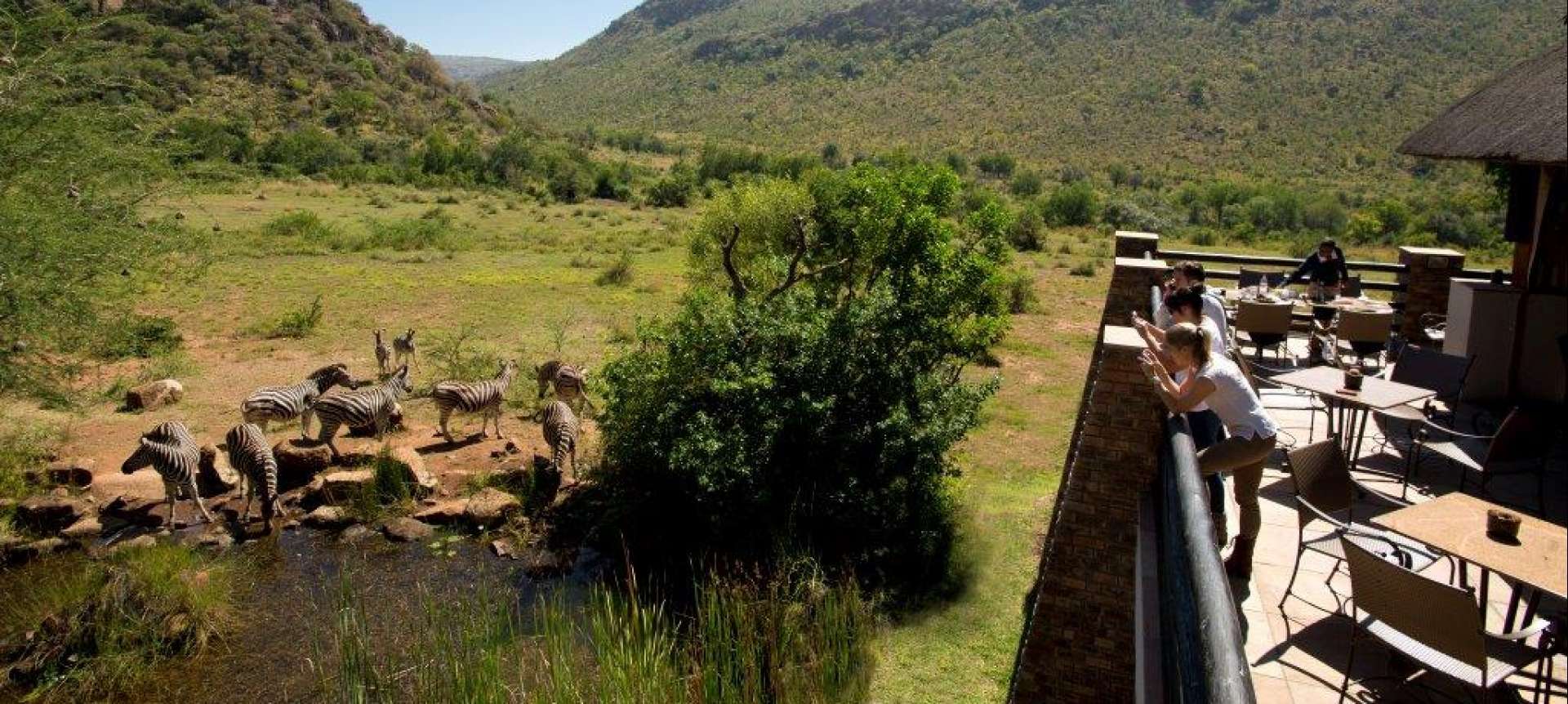 Luxury Pilanesberg Safari Tour