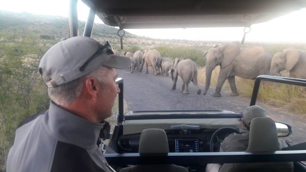 Pilanesberg day tour adventure south africa_6_day trips to Pilanesberg game reserve’