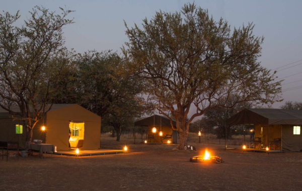 pilanesberg safari adventure tour tented camp accommodation