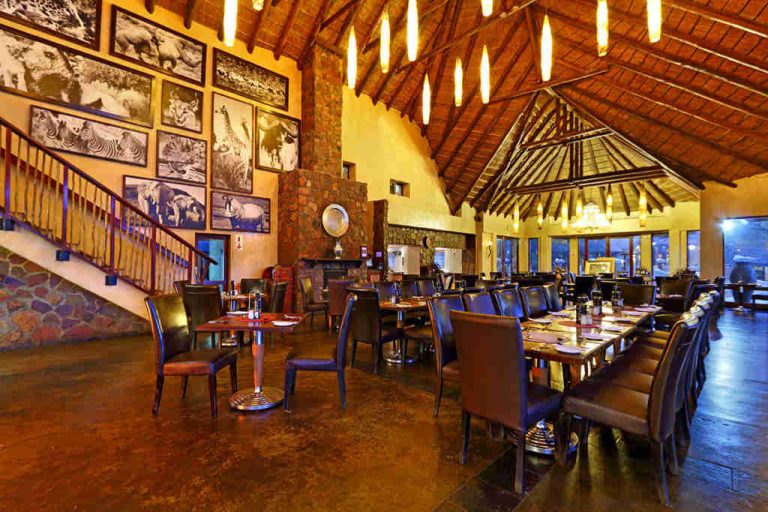 1 Day Safari From Cape Town
