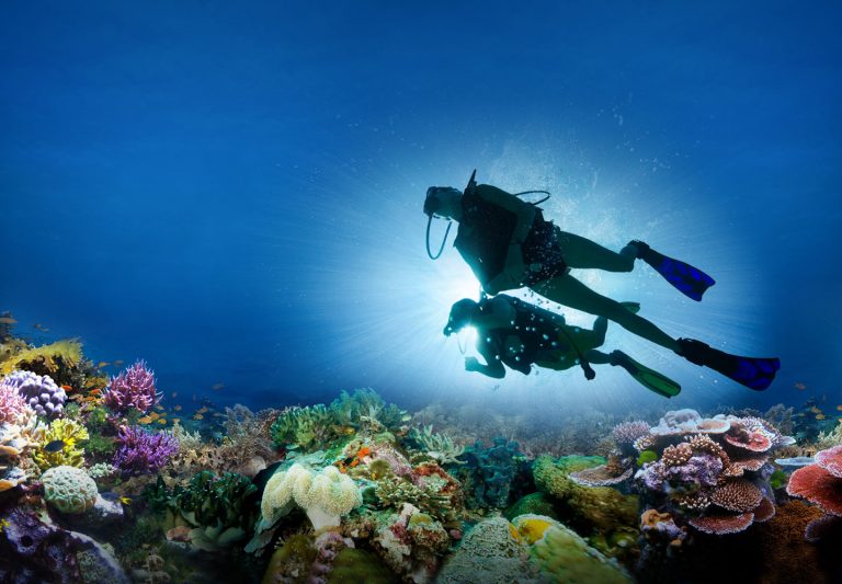 Scuba diving holidays in South Africa