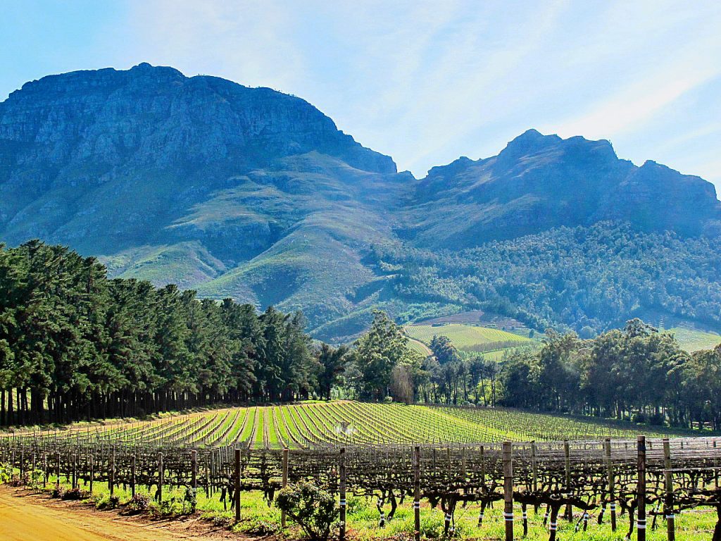 Cape Town Winelands Stellenbosch