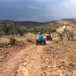 Full day elephant walk and atv nature ride safari